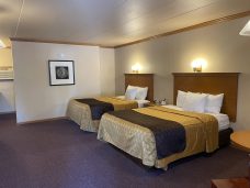 IMG-4902 (1) IMG-4902 (1)